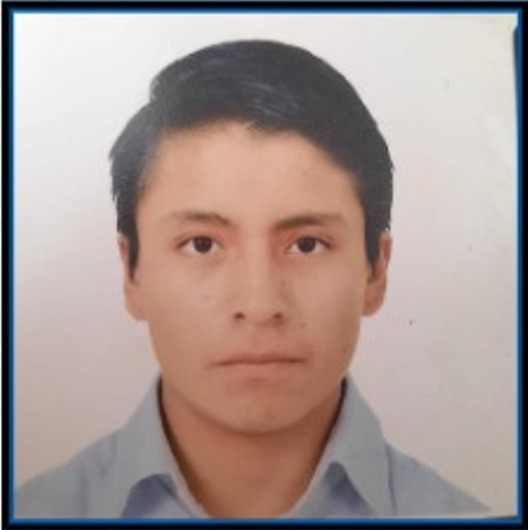 BRYAM FELIPE  SARI DOMINGUEZ
